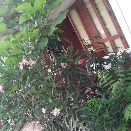 A Casa Di Nene 3* パリヌロ