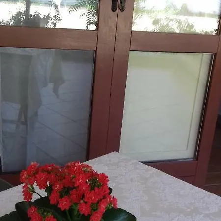 A Casa Di Nene Bed and Breakfast Palinuro
