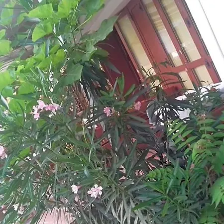 A Casa Di Nene 3* パリヌロ