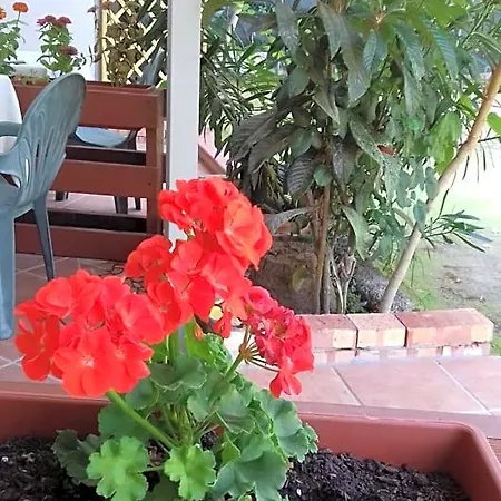 Bed & Breakfast A Casa Di Nene