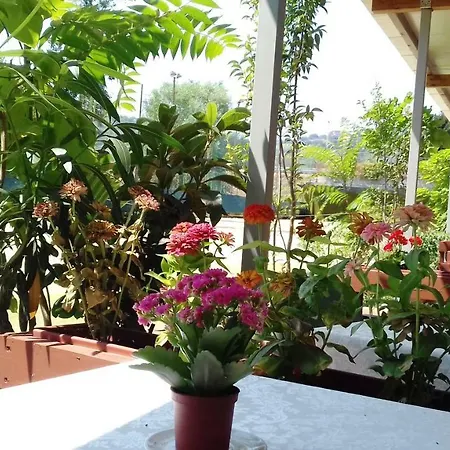 ベッド・アンド・ブレックファスト A Casa Di Nene 3*