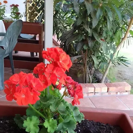 ベッド・アンド・ブレックファスト A Casa Di Nene 3*